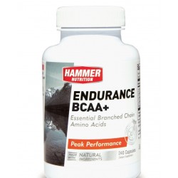 Hammer Amino Endurance